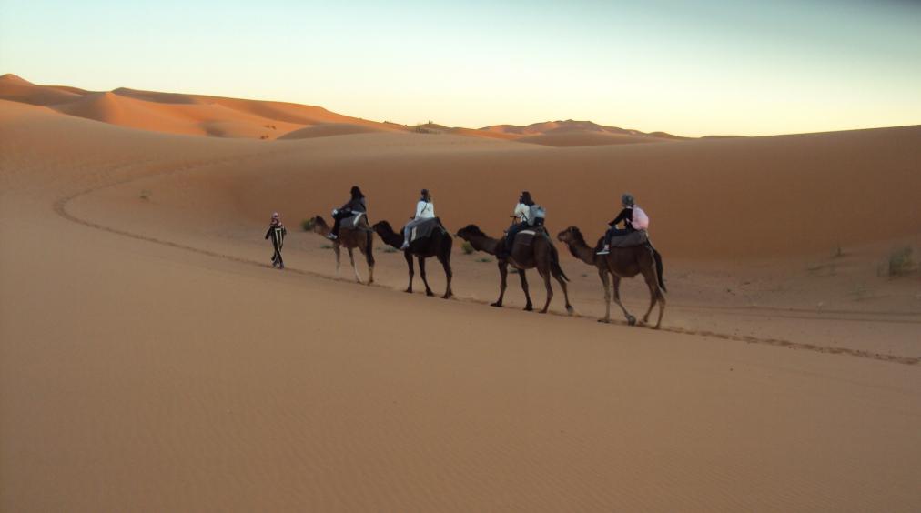 Merzouga Camel Trekking In Morocco