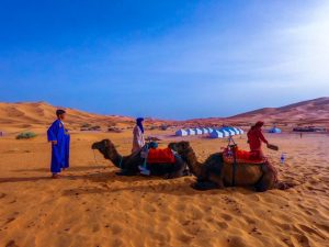 Morocco camel trekking merzouga Sahara Desert luxury Camps In Morocco morocco trips morocco tours of peace
