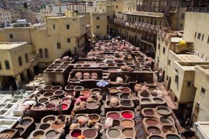 morocco trips morocco tours of peace tanneries of fes